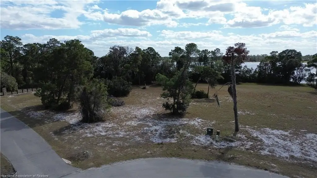 Picture 7
