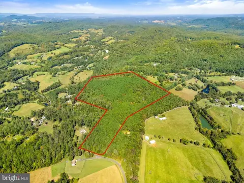50 Acres of Wooded Land