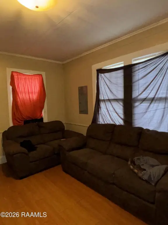 Picture 7