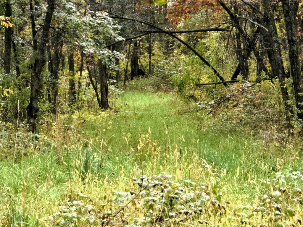Picture 22