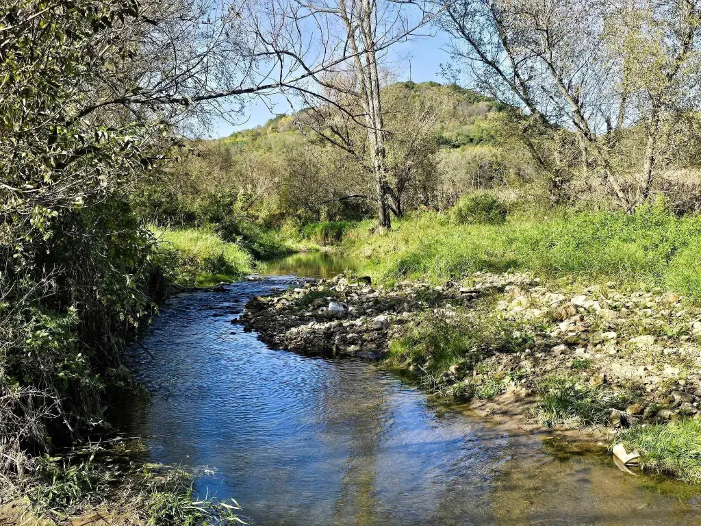 Picture 23