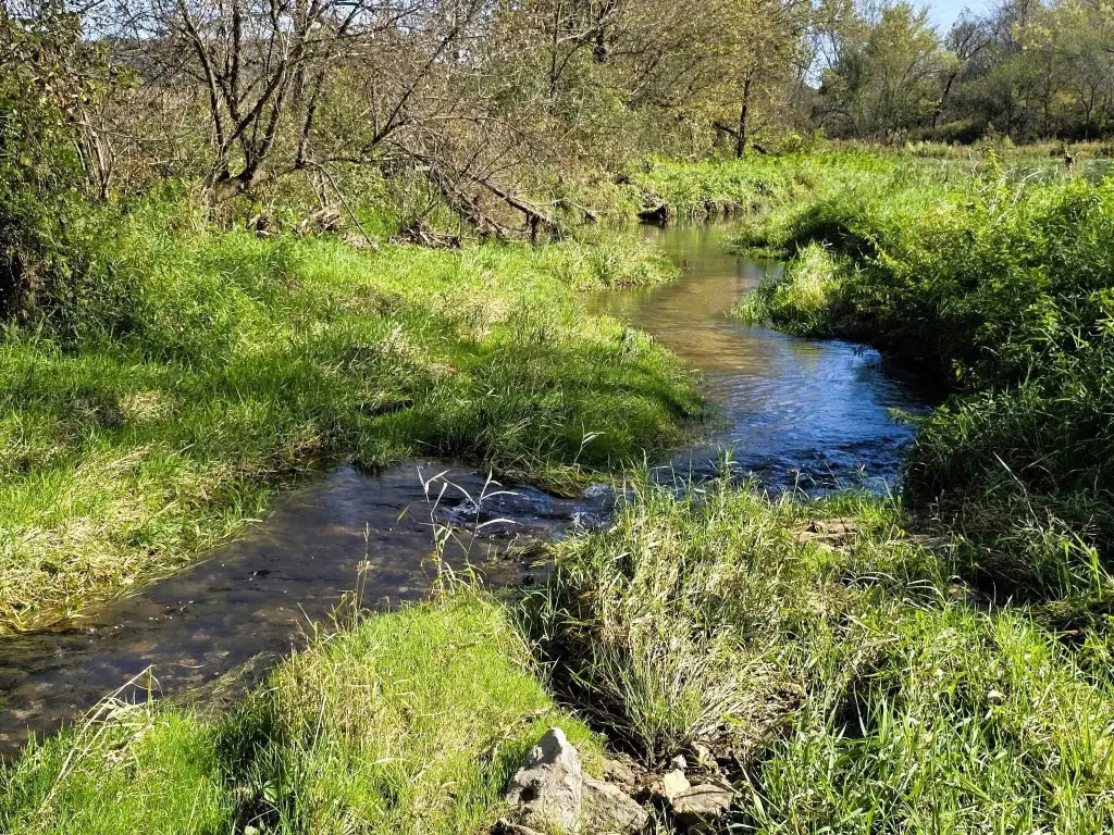 Picture 9