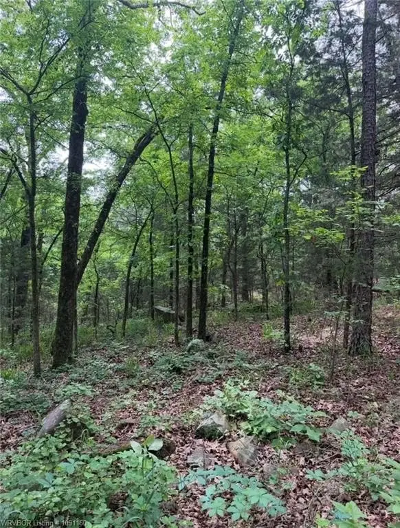 Picture 15