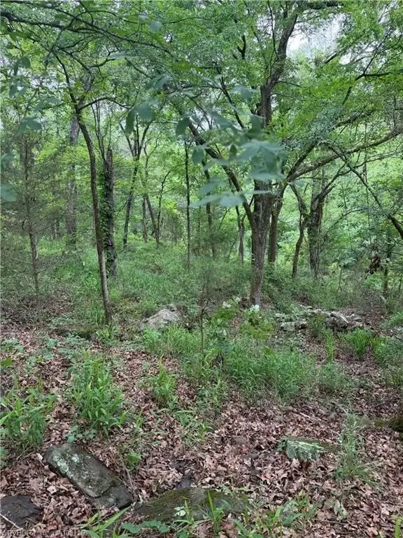 Picture 23
