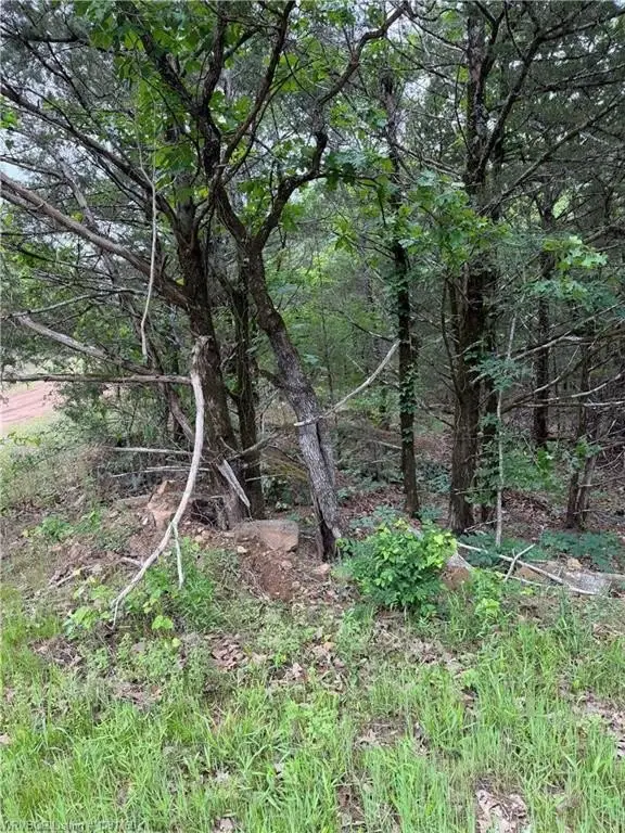 Picture 18