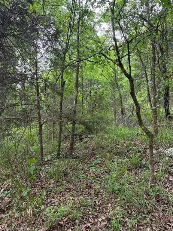 Picture 27