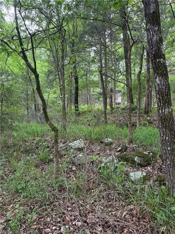 Picture 28