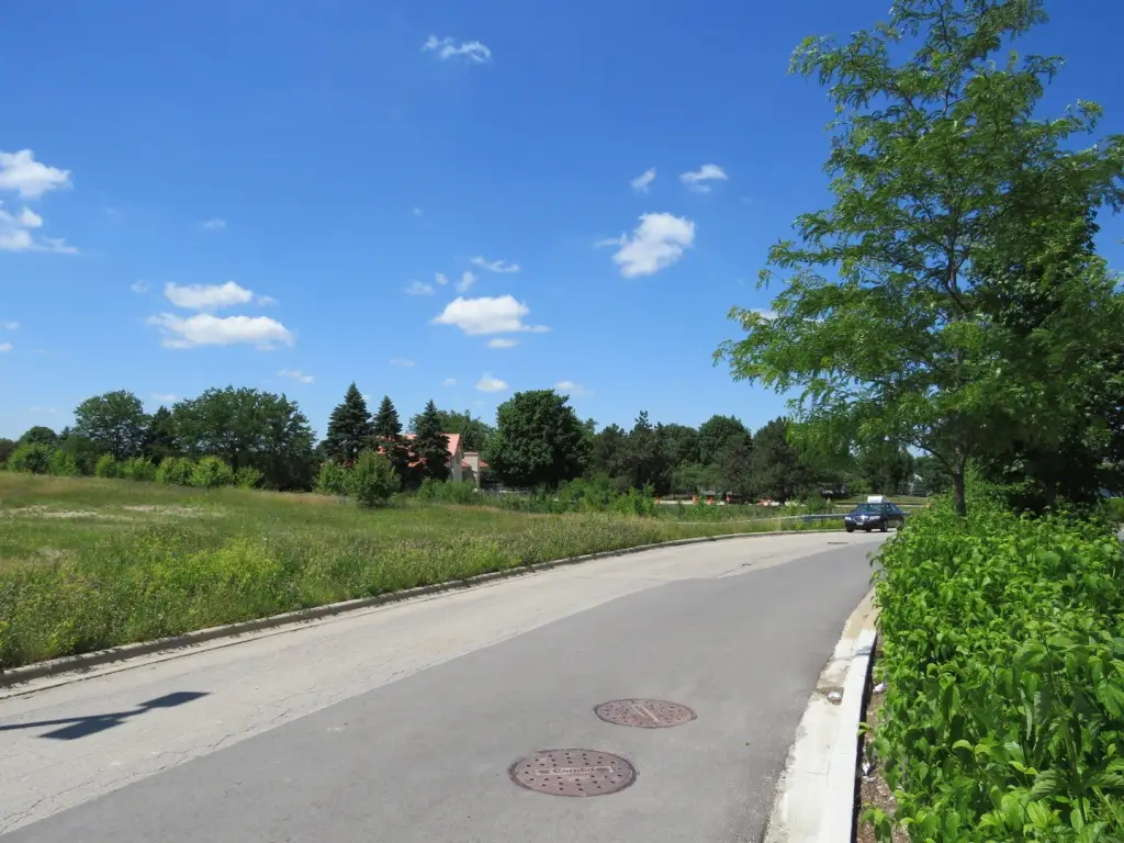 Picture 19