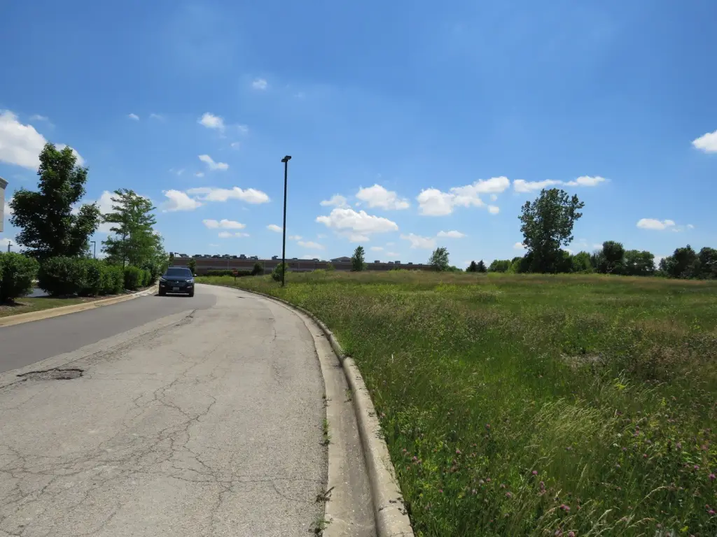 Picture 6