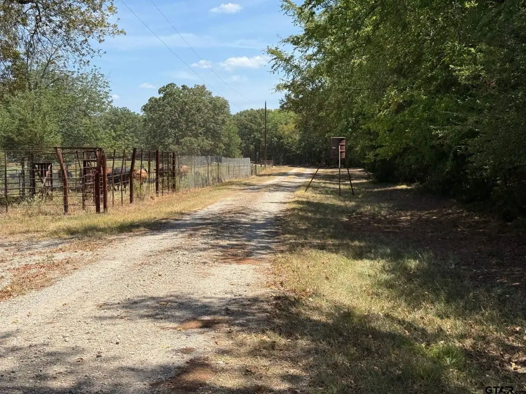 Picture 15