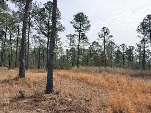 Aiken Land Near Downtown