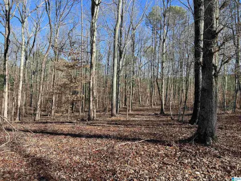 Large Lot in Ashville, AL