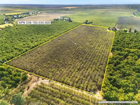 25 Acre Orchard Near Chico