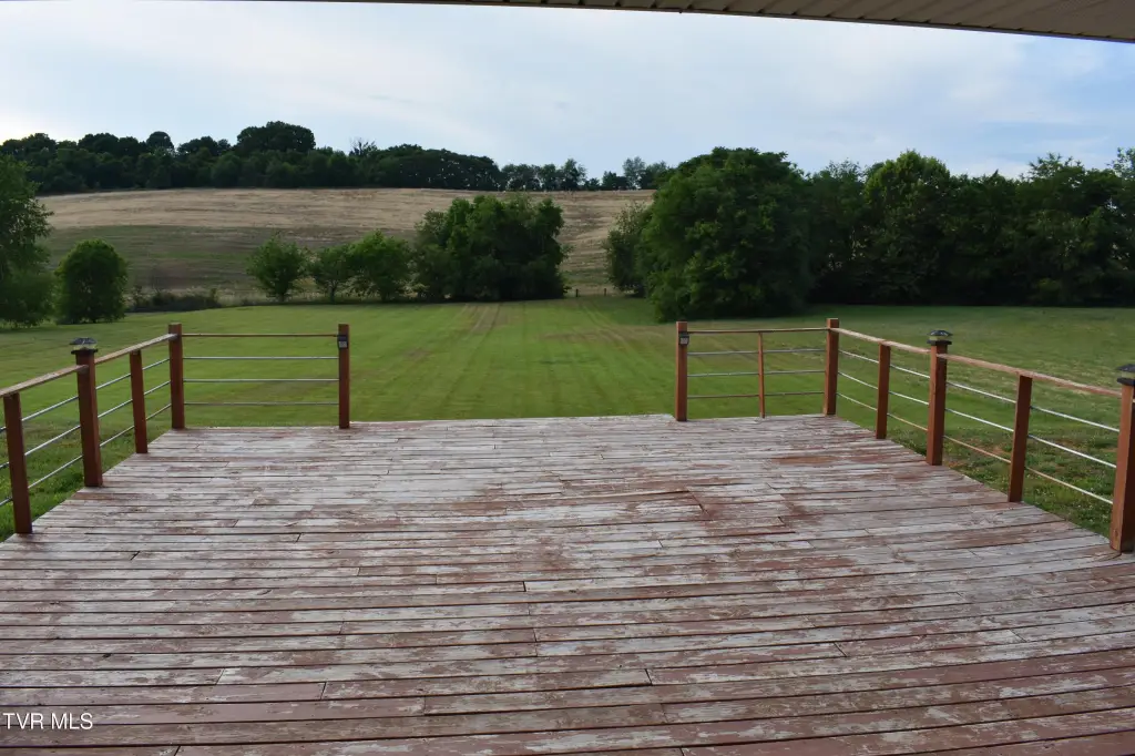 Picture 12