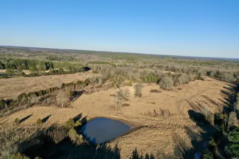 96 Acres in Rose Bud