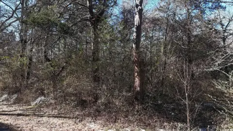 Wooded Residential Lot in Mena