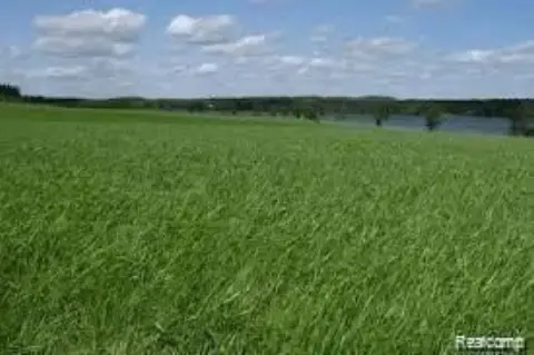 Residential Land Near Port Huron