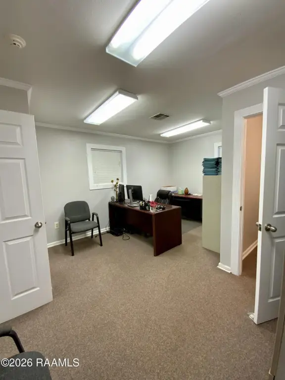 Picture 24