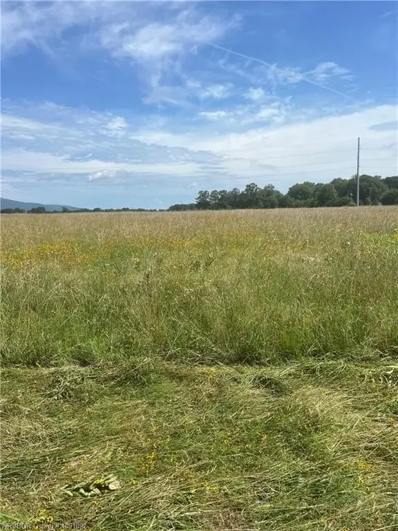 Picture 10