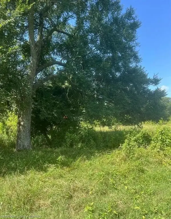 Picture 3