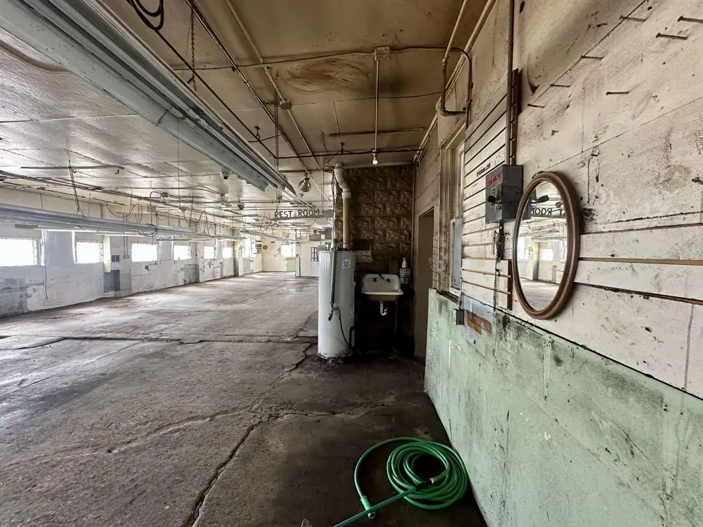 Picture 25