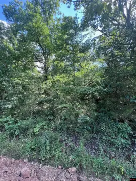 Gainesville Land with Ozark Views