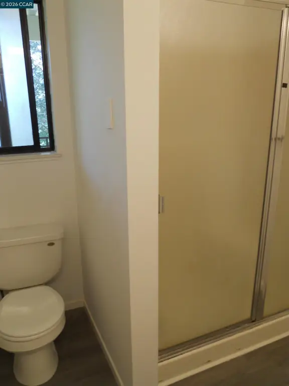 Picture 28