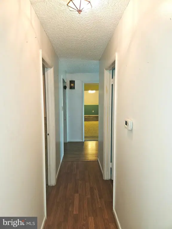 Picture 36