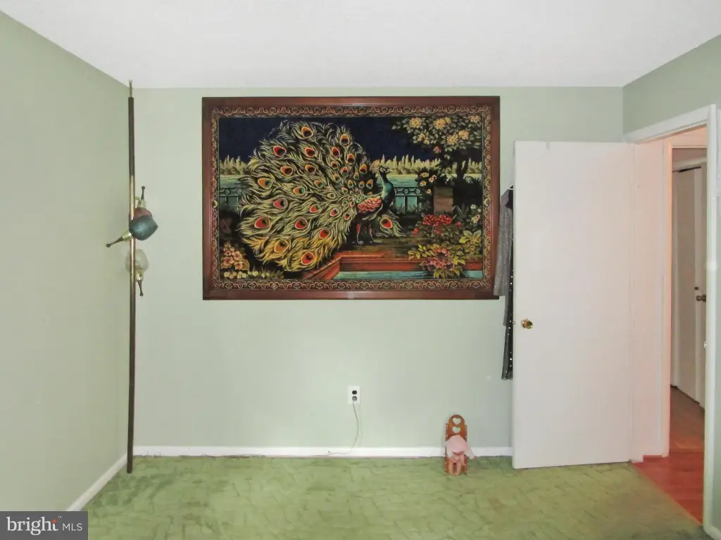 Picture 44