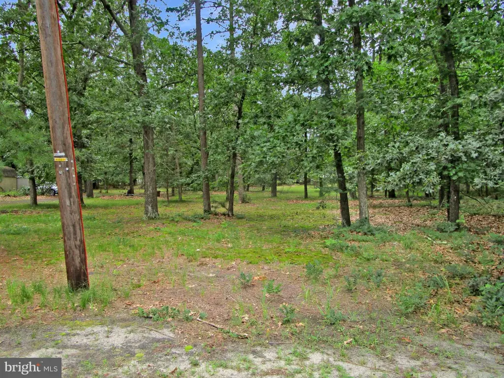 Picture 5