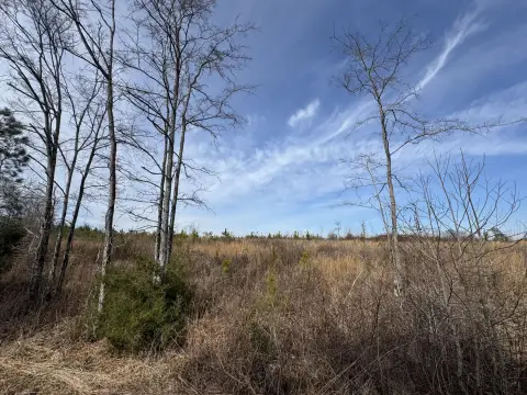 Cleared Land in Edgefield, SC