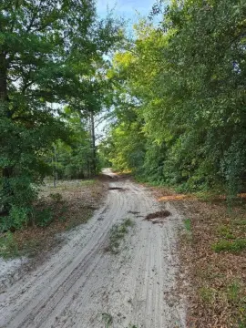 5.80 Acres in Williston, SC