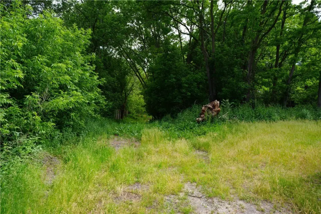 Picture 7