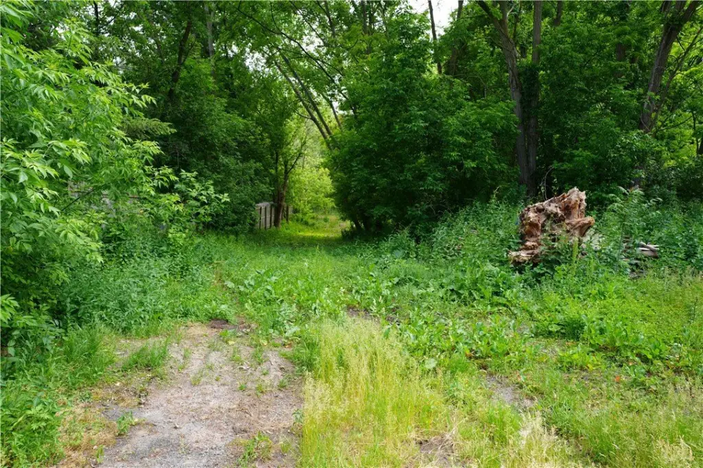 Picture 8