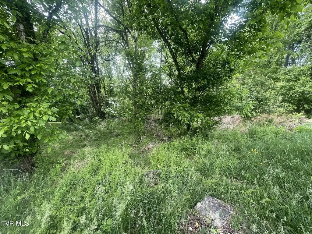 Picture 14