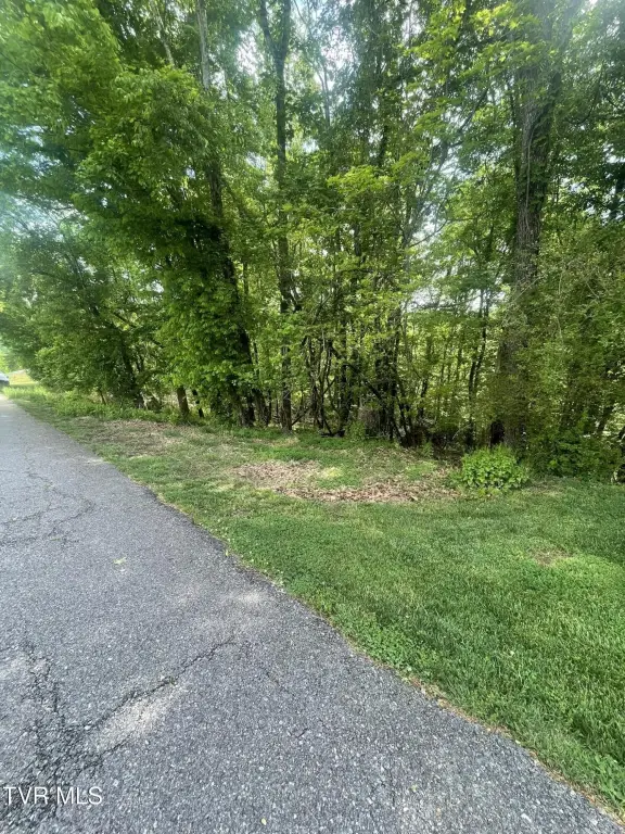 Picture 11