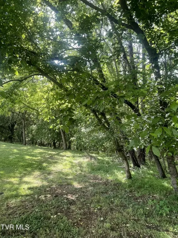 Picture 13