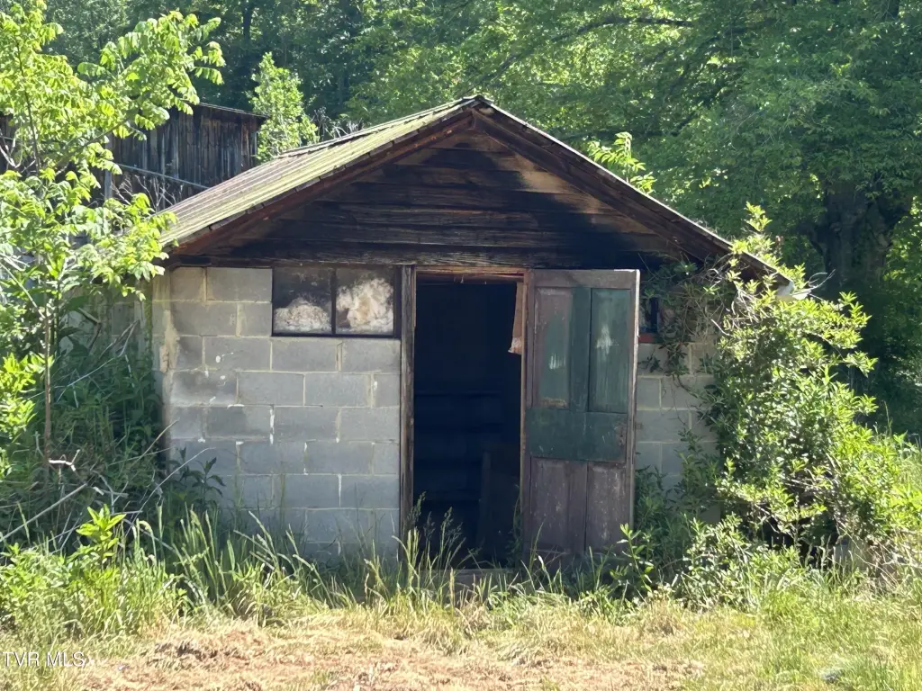 Picture 3