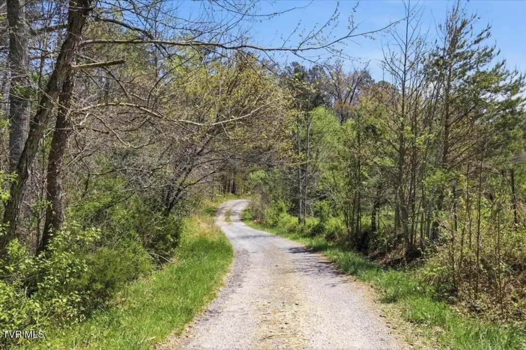 Picture 36