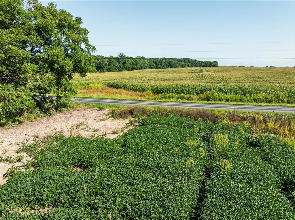 Picture 12