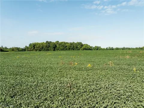 Open Agricultural Land