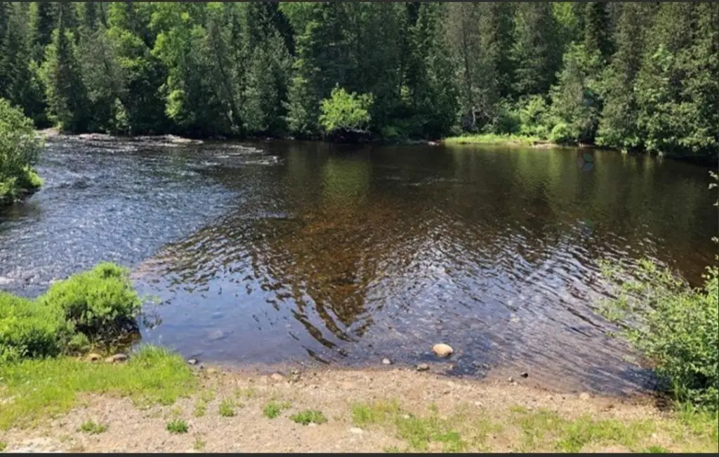 Picture 21