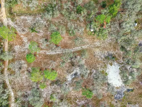 Lake County Land Opportunity