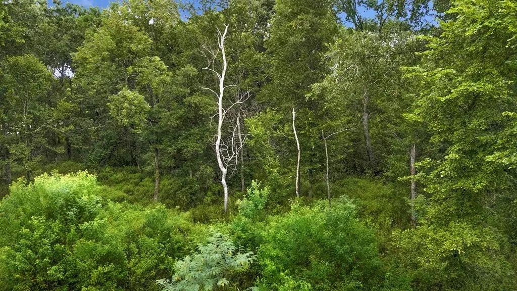 Picture 7