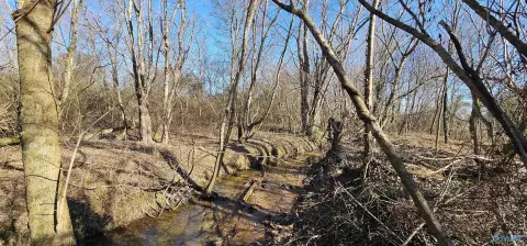 Acreage on Highway 227