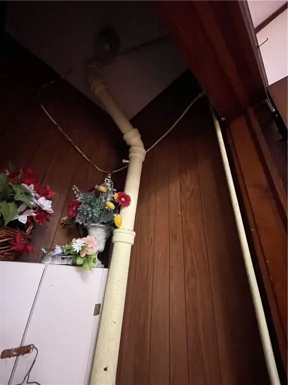 Picture 42