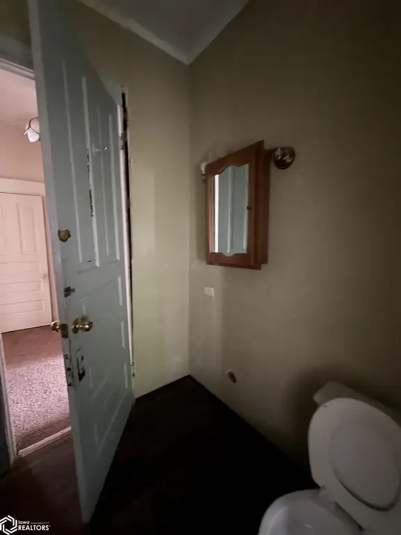 Picture 11