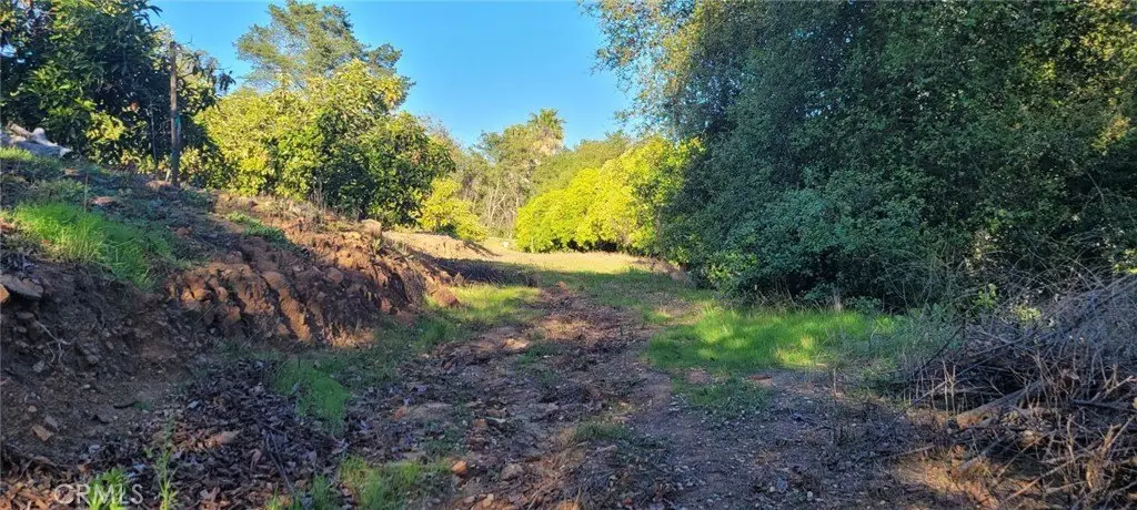 Picture 18