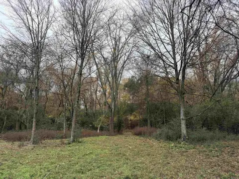 10 Acres Wooded Land, Bryant