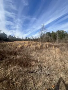 Land in Batesburg-Leesville, SC